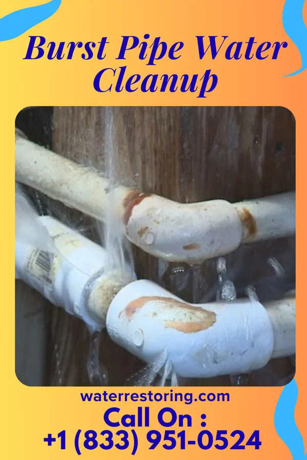 Burst Pipe Water Cleanup in Penn Wynne, PA