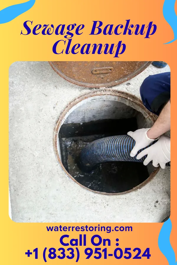 Sewage Backup Cleanup in Penn Wynne, PA