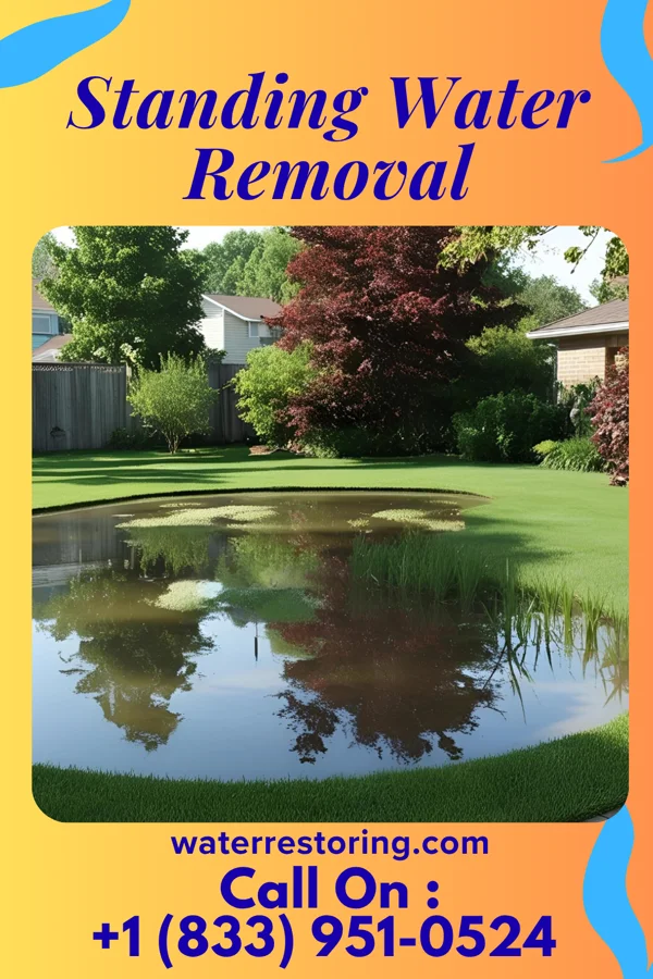 Standing Water Removal in Penn Wynne, PA